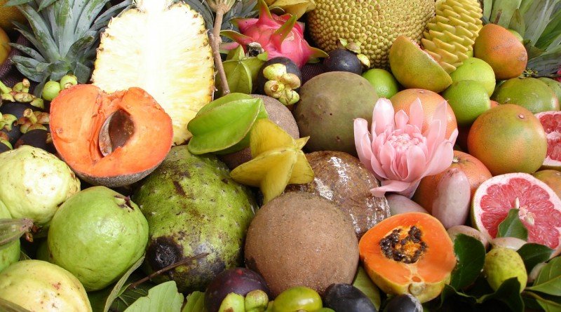 Get more nutrition in every bite Get more nutrition in every bite